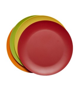 Bamboo Dinner Plates  Set of 4