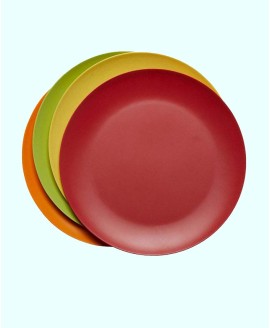 Bamboo Dinner Plates  Set of 4