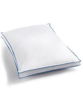Winston Extra Firm Density Pillow  Standard/Queen
