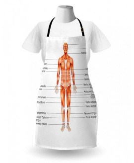 Human Anatomy Apron Human Anatomy Apron